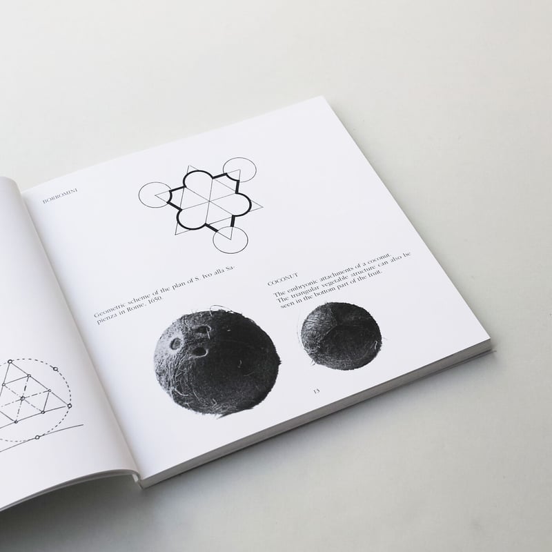 BRUNO MUNARI アート・デザイン Bruno Munari｜ポスター 人間の顔をテーマとした変奏曲 Variazioni sul