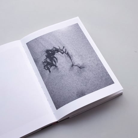 Zin Taylor / Ambient Visions of a Dot (下田市)