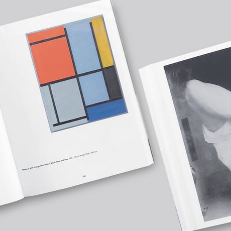 Mondrian Evolution
