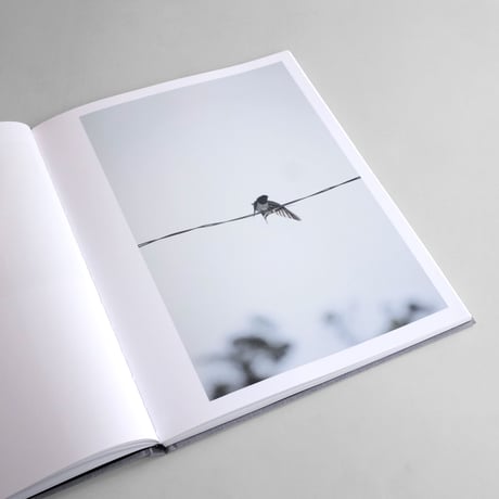 Rinko Kawauchi / Des Oiseaux