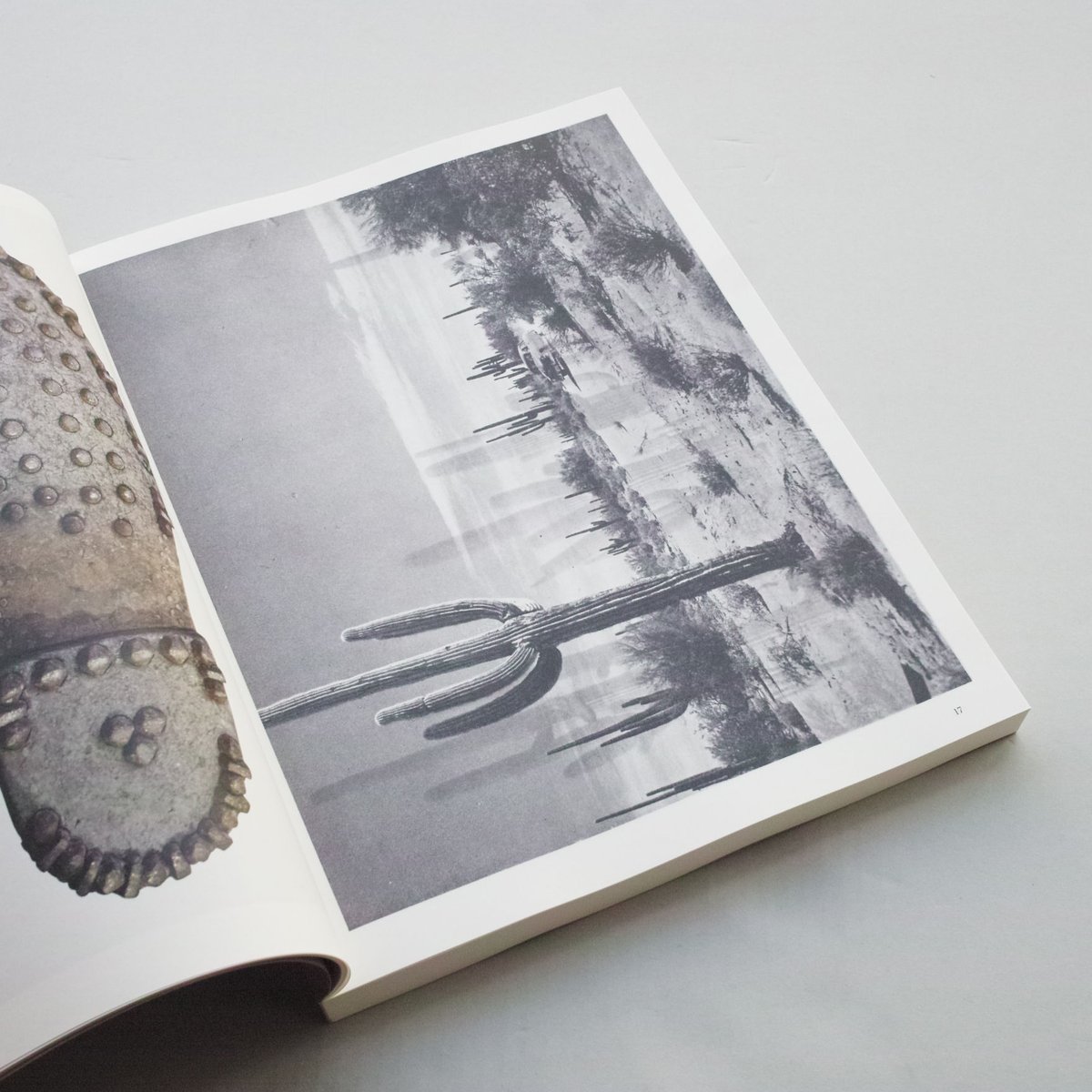 Batia Suter / Hexamile ( Mont-Voisin) | POST