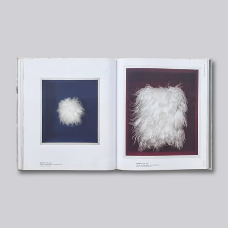 Piero Manzoni / Achrome