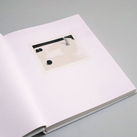 Laura Letinsky / TIME’S ASSIGNATION, THE POLAROIDS