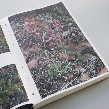 Sibylle Eimermacher / A Guide Through Hue