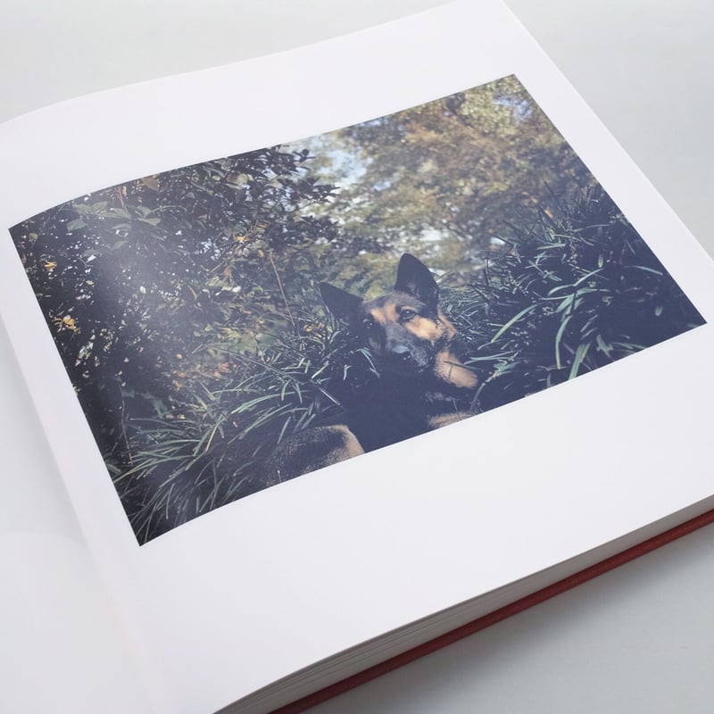 William Eggleston / The Outlands | POST