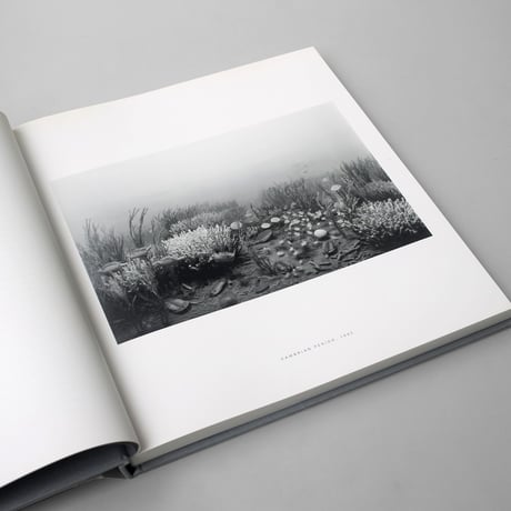 HIROSHI SUGIMOTO / DIORAMAS