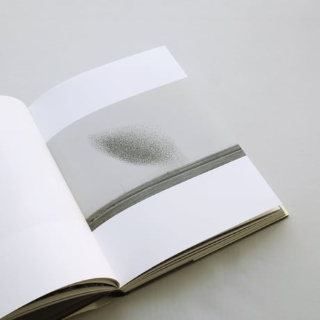 Lukas Felzmann / Swarm