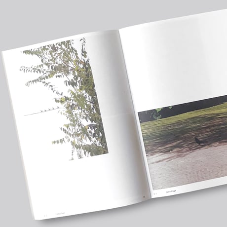 Anne Geene & Arjan De Nooy / Ornithology