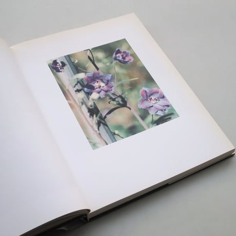 Thomas Struth / Löwenzahnzimmer