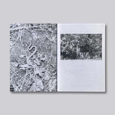 Jochen Lempert / Local Ecology – Moulin des Ribes