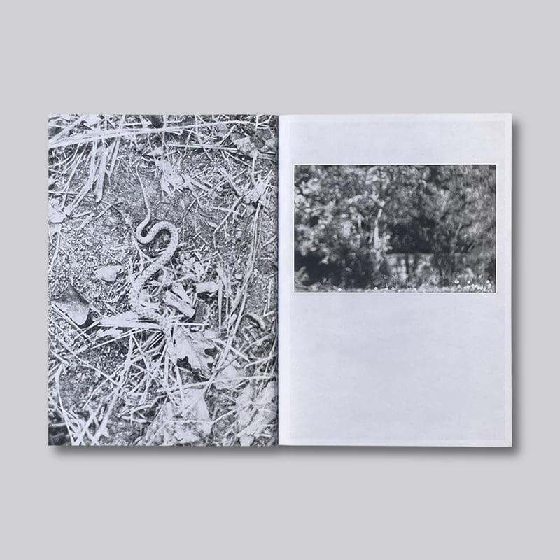 Jochen Lempert / Local Ecology – Moulin des Rib