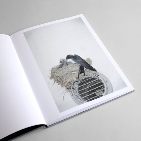 Rinko Kawauchi / Des Oiseaux