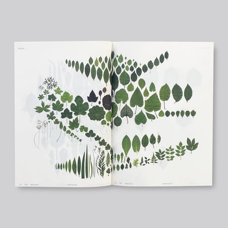 Anne Geene / Book of Plants (Second Edition)