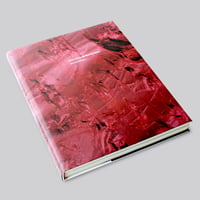 Anish Kapoor / My Red Homeland