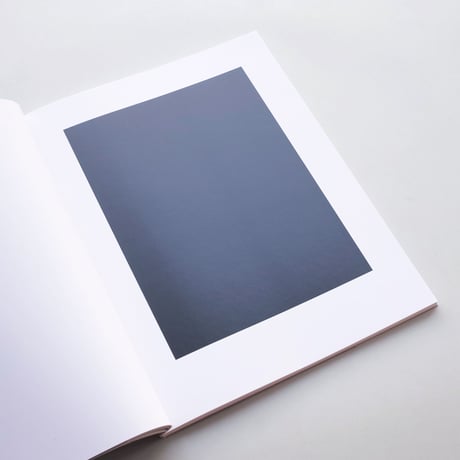 Sherrie Levine / After Reinhardt