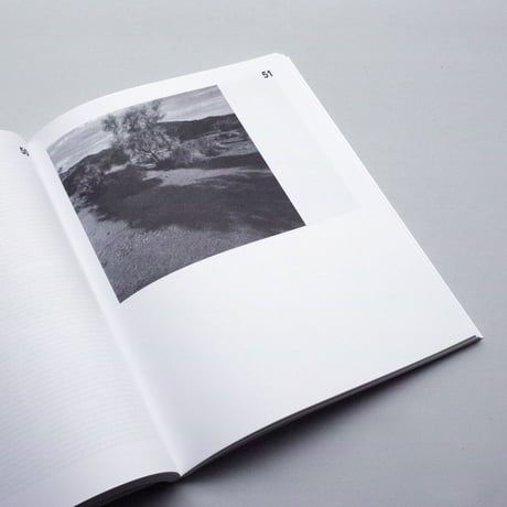 Joan van Barneveld / Into Longing, Vast Rock