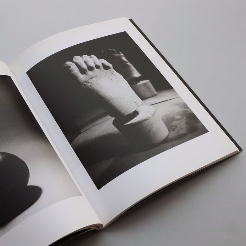 Taiyo Onorato, Niko Krebs / Light of Other Days