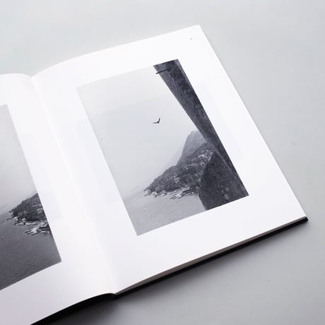 Bernard Plossu / Des Oiseaux