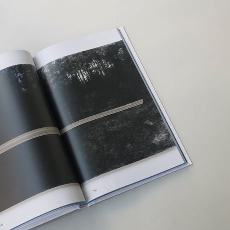 R.H. Quaytman / The Sun Does Not Move. Chapter 35