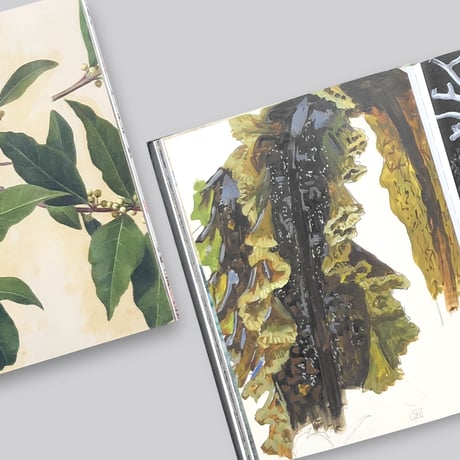 Botanical : Observing Beauty
