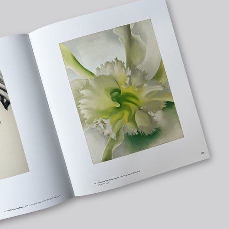 Georgia O'Keeffe / To See Takes Time