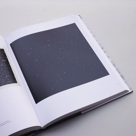 Vija Celmins / To Fix the Image in Memory