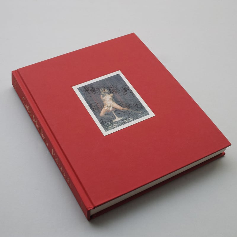 Carlo Mollino Polaroid's 写真集 希少