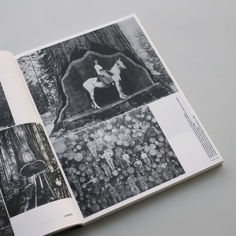Formafantasma / Cambio