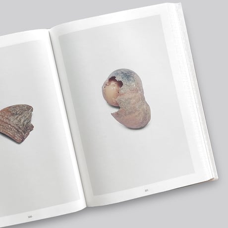 Nina Canell / Shell Reader