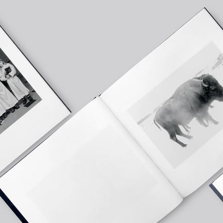 【サイン入り】Alessandra Sanguinetti  / Some Say Ice