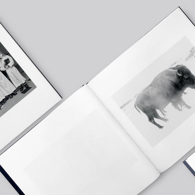 サイン入り】Alessandra Sanguinetti / Some Say Ice |