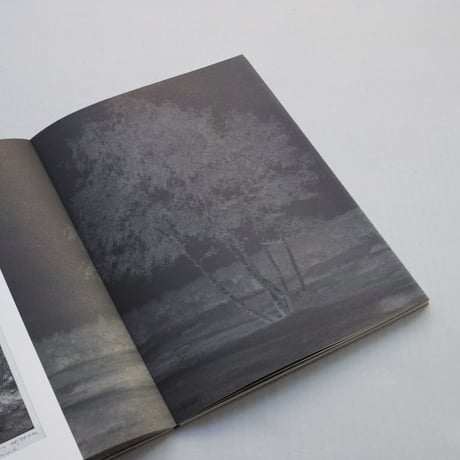 Rein Jelle Terpstra / Dark Dunes