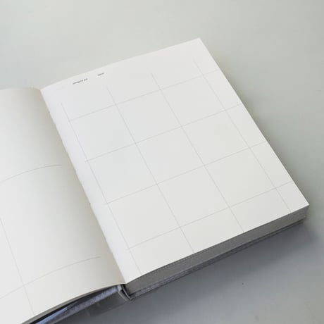 Carsten Nicolai / Grid Index
