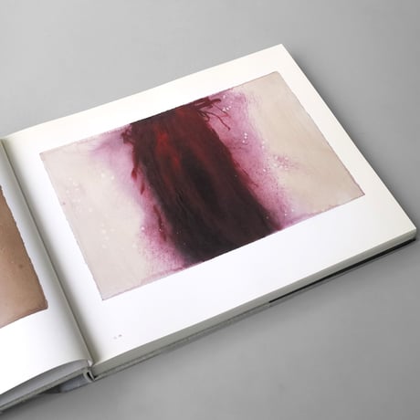 Anish Kapoor / Drawings