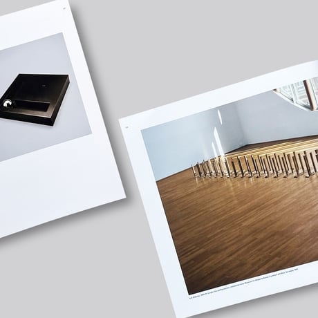 Walter De maria / The Object, the Action, the Aesthetic Feeling
