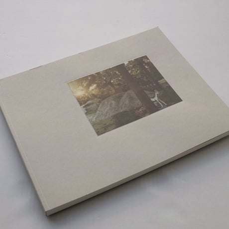 Guido Guidi / PER STRADA