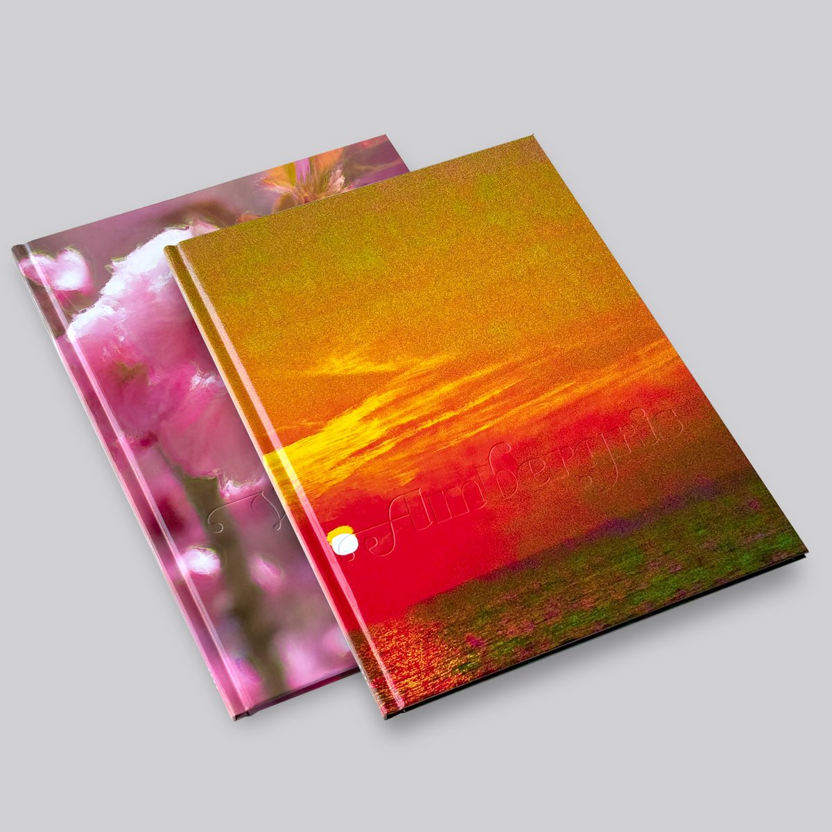 Verdigris Ambergris Paul Graham ポール　グラハム VERDIGRIS / AMBERGRIS by Paul Graham [SIGNED] – twelvebooks