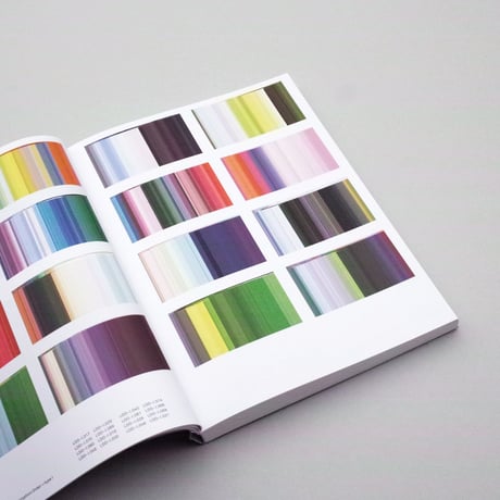 Barry van der Rijt / Exquisite Errors: DMCO-I