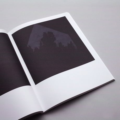 Joan van Barneveld / Into Longing, Vast Rock