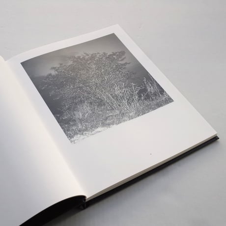 Kevin Lear / a glass darkly