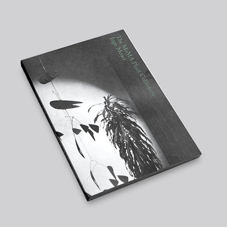 Inge Meijer / The MoMA Plant Collection