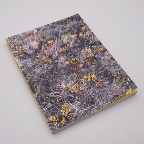 Esther Hessing & Sophieke Thurmer / Bound to the Ground