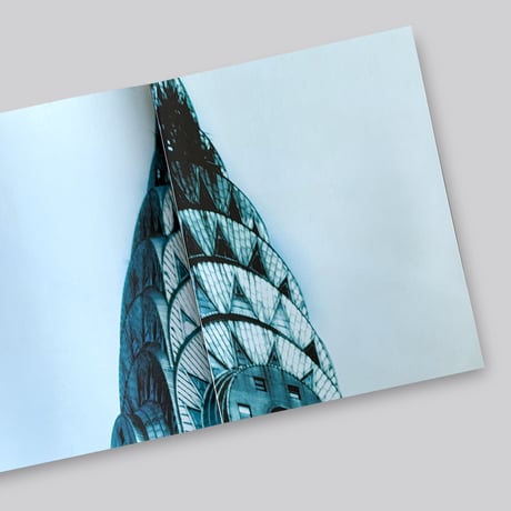 Takashi Homma / THE NARCISSISTIC CITY