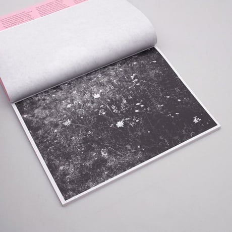 Miyuki Okuyama / Dear Japanese