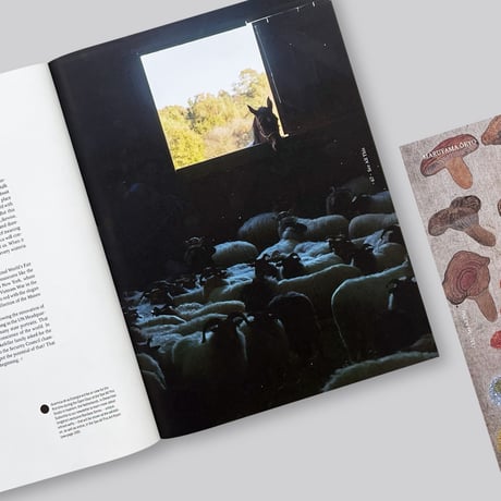 See All This 24: Colour Fields, Curated By Claudy Jongstra