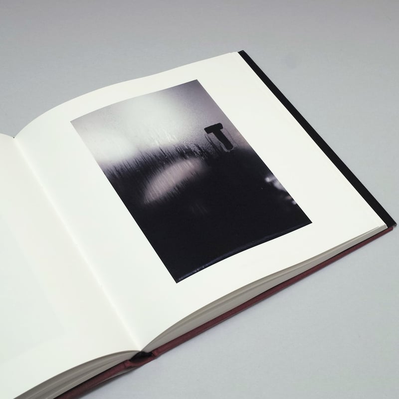 Last Copies】Saul Leiter / Early Color(フランス語版) Last Copies】Saul Leiter / Early Color(フランス語版)