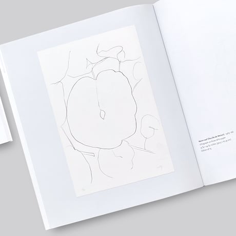 Ellsworth Kelly / Plant Lithographs