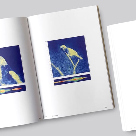 Anne Geene & Arjan De Nooy / Ornithology