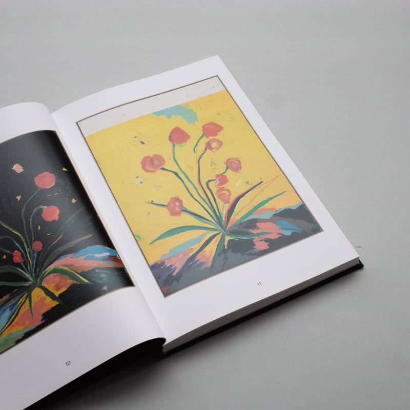 Harold Ancart / Soft Places (II) | POST