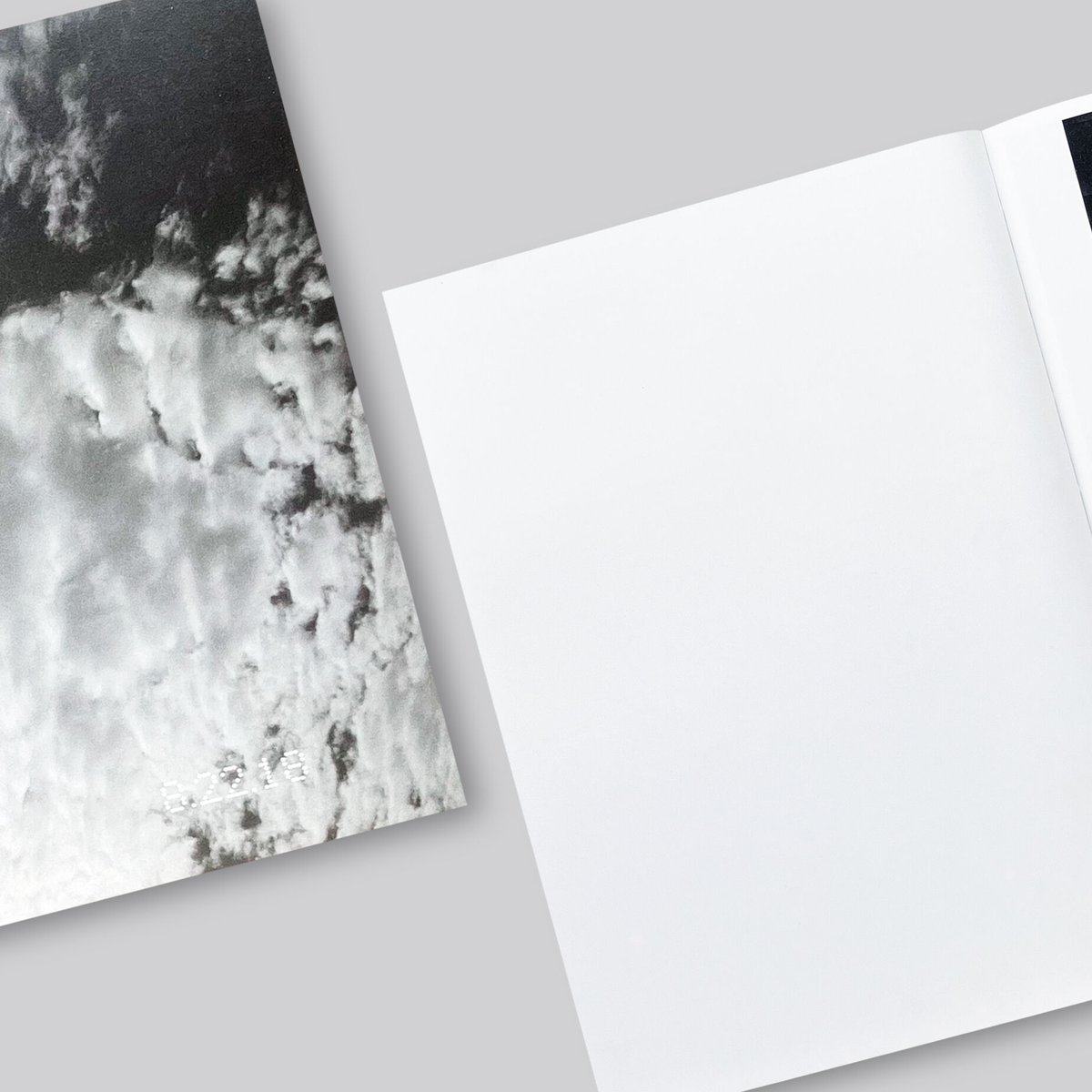 洋書 ali marcopoulos out&about 洋書 ali marcopoulos out&about 35％OFF】 Ari Marcopoulos